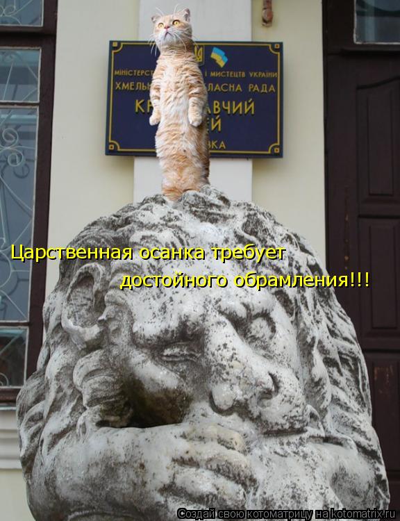 Царственная осанка требует достойного обрамления!!!... Котоматрица: Царственная осанка требует достойного обрамления!!!