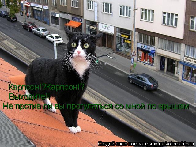 Карлсон!?Карлсон!? Выходите!! Не против ли вы прогуляться со мной по крышам... Котоматрица: Карлсон!?Карлсон!? Выходите!! Не против ли вы прогуляться со мной по крышам