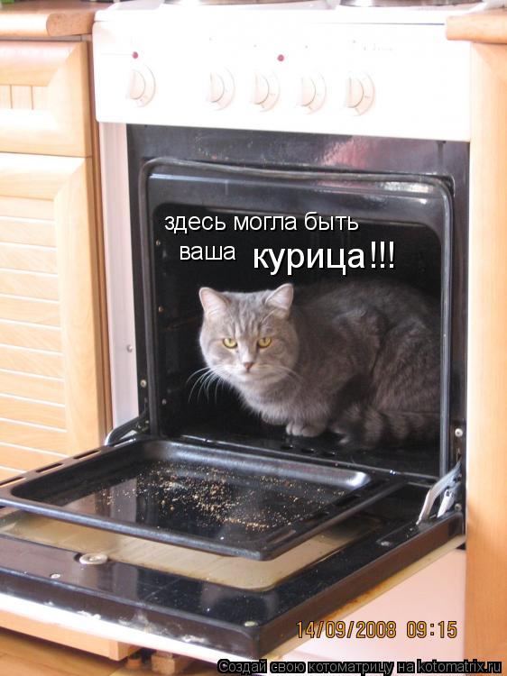здесь могла быть ваша курица!!!... Котоматрица: здесь могла быть ваша курица!!!