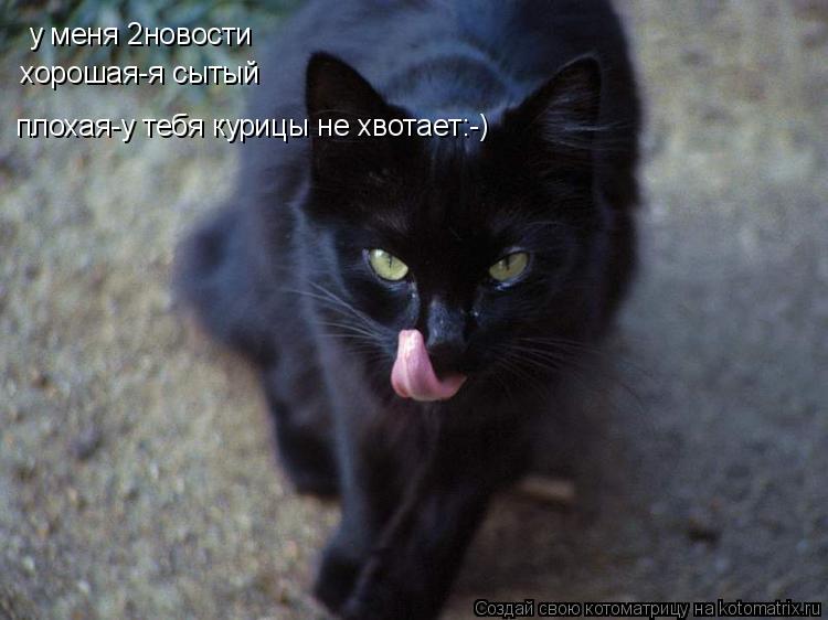 у меня 2новости хорошая-я сытый плохая-у тебя курицы не хвотает:-)... Котоматрица: у меня 2новости хорошая-я сытый плохая-у тебя курицы не хвотает:-)