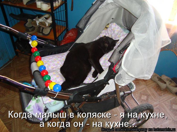 Когда малыш в коляске - я на кухне, а когда он - на кухне...... Котоматрица: Когда малыш в коляске - я на кухне, а когда он - на кухне...