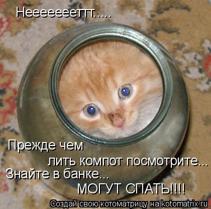 Неееееееттт..... Прежде чем лить компот посмотрите... Знайте в банке... МОГУТ СПАТЬ!!!!... Котоматрица: Неееееееттт..... Прежде чем лить компот посмотрите... Знайте в банке... МОГУТ СПАТЬ!!!!