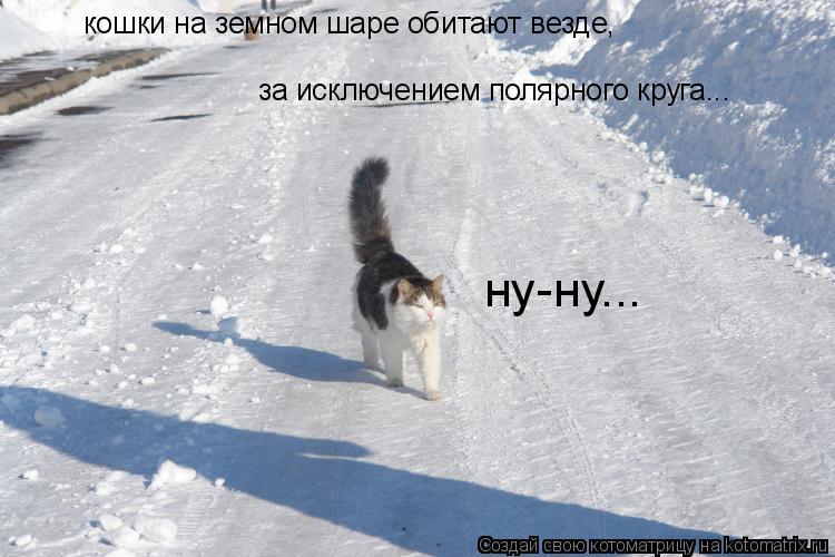 за исключением полярного круга... ну-ну... кошки на земном шаре обитают везде,... Котоматрица: за исключением полярного круга... ну-ну... кошки на земном шаре обитают везде,