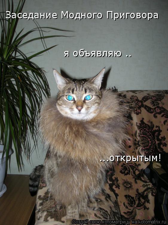 Заседание Модного Приговора я объявляю .. ...открытым!... Котоматрица: Заседание Модного Приговора я объявляю .. ...открытым!