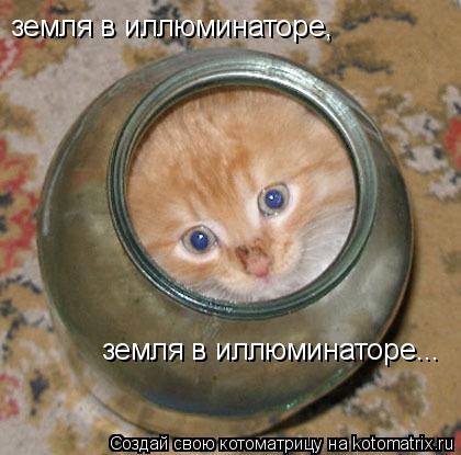 земля в иллюминаторе, земля в иллюминаторе...... Котоматрица: земля в иллюминаторе, земля в иллюминаторе...