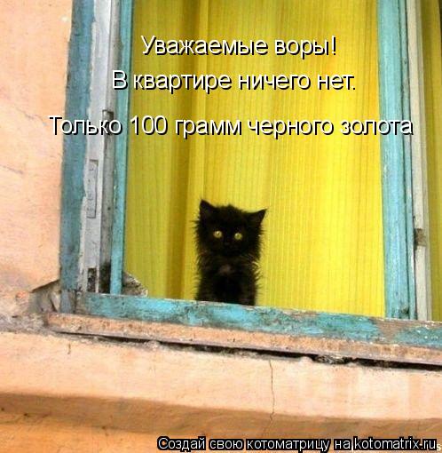 Уважаемые воры! В квартире ничего нет. Только 100 грамм черного золота... Котоматрица: Уважаемые воры! В квартире ничего нет. Только 100 грамм черного золота
