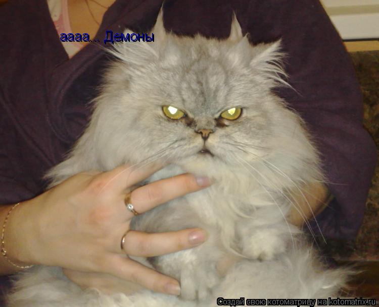 aaaa... Демоны aaaa... Демоны... Котоматрица: aaaa... Демоны aaaa... Демоны