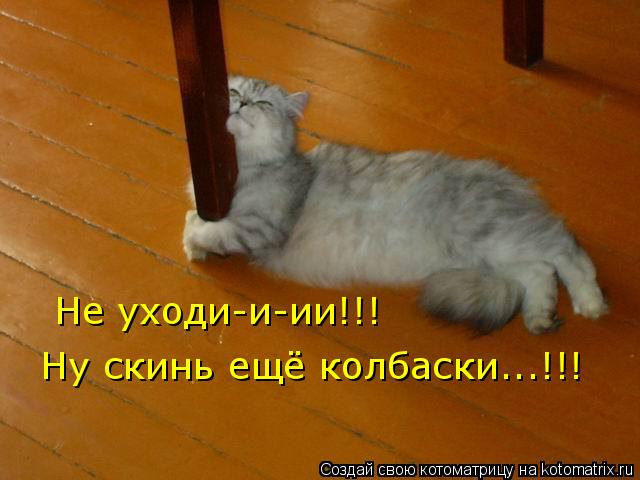 Не уходи-и-ии!!! Ну скинь ещё колбаски...!!!... Котоматрица: Не уходи-и-ии!!! Ну скинь ещё колбаски...!!!