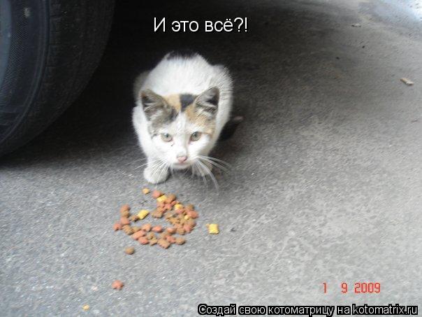 И это всё?!... Котоматрица: И это всё?!
