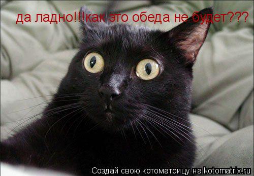 да ладно!!!как это обеда не будет???... Котоматрица: да ладно!!!как это обеда не будет???