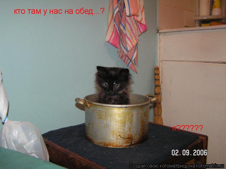 кто там у нас на обед...? я??????... Котоматрица: кто там у нас на обед...? я??????
