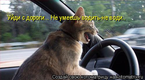 Уйди с дороги... Не умеешь водить-не води..... Котоматрица: Уйди с дороги... Не умеешь водить-не води..