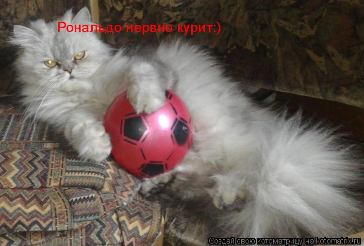Рональдо нервно курит:)... Котоматрица: Рональдо нервно курит:)