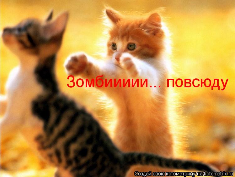 Зомбиииии... повсюду... Котоматрица: Зомбиииии... повсюду