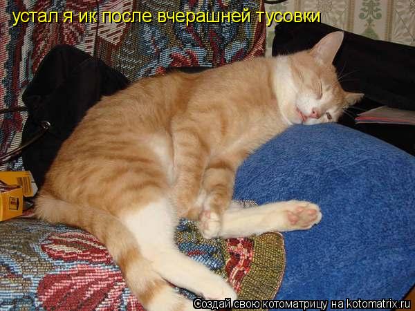 устал я ик после вчерашней тусовки... Котоматрица: устал я ик после вчерашней тусовки