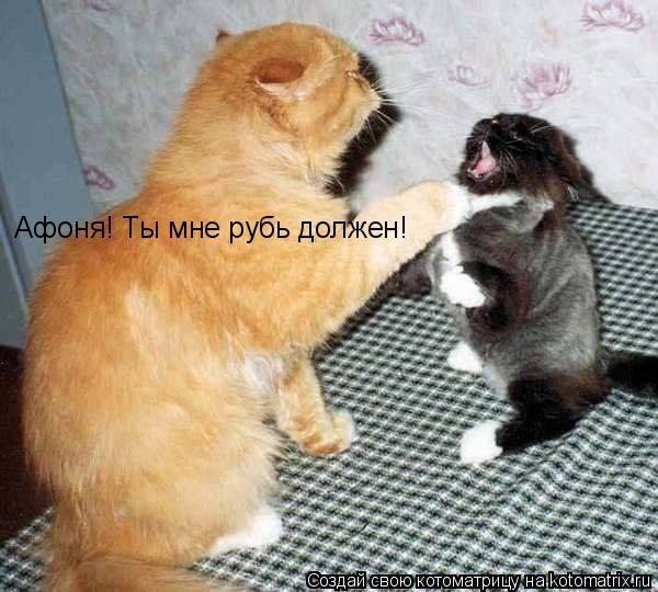 Афоня! Ты мне рубь должен!... Котоматрица: Афоня! Ты мне рубь должен!
