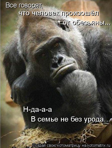 Все говорят, что человек произошёл от обезьяны... Н-да-а-а В семье не без урода...... Котоматрица: Все говорят, что человек произошёл от обезьяны... Н-да-а-а В семье не без урода...