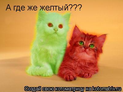 А где же желтый???... Котоматрица: А где же желтый???