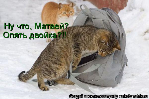 Ну что, Матвей? Опять двойка?!!... Котоматрица: Ну что, Матвей? Опять двойка?!!