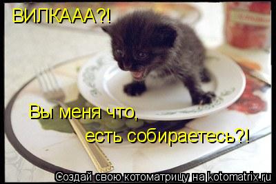 ВИЛКААА?! Вы меня что, есть собираетесь?!... Котоматрица: ВИЛКААА?! Вы меня что, есть собираетесь?!