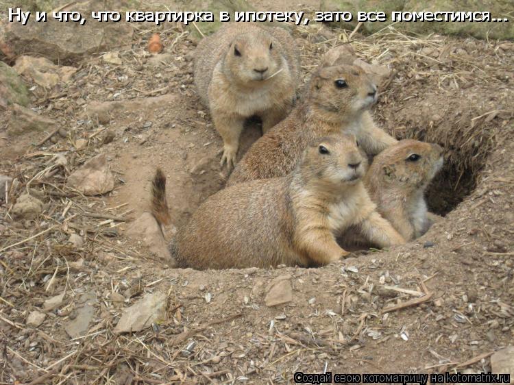 Ну и что, что квартирка в ипотеку, зато все поместимся... Ну и что, что квартирка в ипотеку, зато все... Котоматрица: Ну и что, что квартирка в ипотеку, зато все поместимся... Ну и что, что квартирка в ипотеку, зато все поместимся...