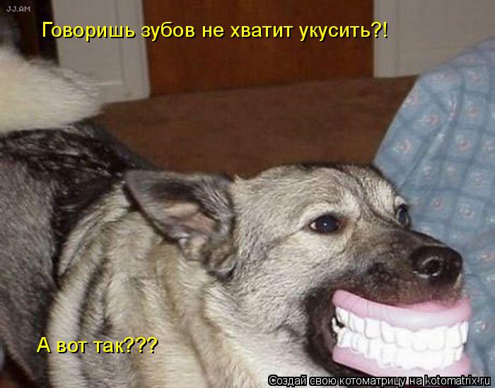 Говоришь зубов не хватит укусить?! А вот так???... Котоматрица: Говоришь зубов не хватит укусить?! А вот так???