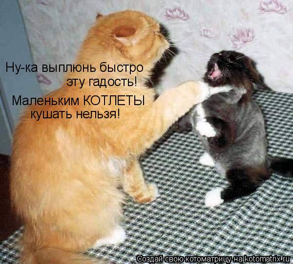 Ну-ка выплюнь быстро эту гадость! Маленьким КОТЛЕТЫ кушать нельзя!... Котоматрица: Ну-ка выплюнь быстро эту гадость! Маленьким КОТЛЕТЫ кушать нельзя!