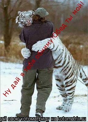 Ну дай я тебя обниму!Обед ты мой!... Котоматрица: Ну дай я тебя обниму!Обед ты мой!