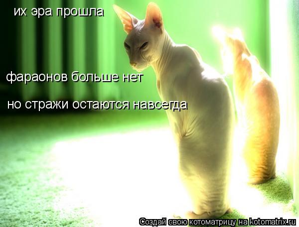 их эра прошла фараонов больше нет но стражи остаются навсегда... Котоматрица: их эра прошла фараонов больше нет но стражи остаются навсегда