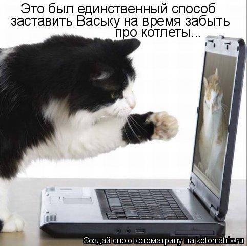 Это был единственный способ заставить Ваську на время забыть про котлеты...... Котоматрица: Это был единственный способ заставить Ваську на время забыть про котлеты...
