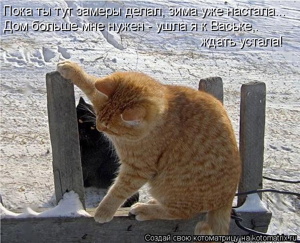 Пока ты тут замеры делал, зима уже настала... Дом больше мне нужен - ушла я к Ваське,. ждать устала!... Котоматрица: Пока ты тут замеры делал, зима уже настала... Дом больше мне нужен - ушла я к Ваське,. ждать устала!