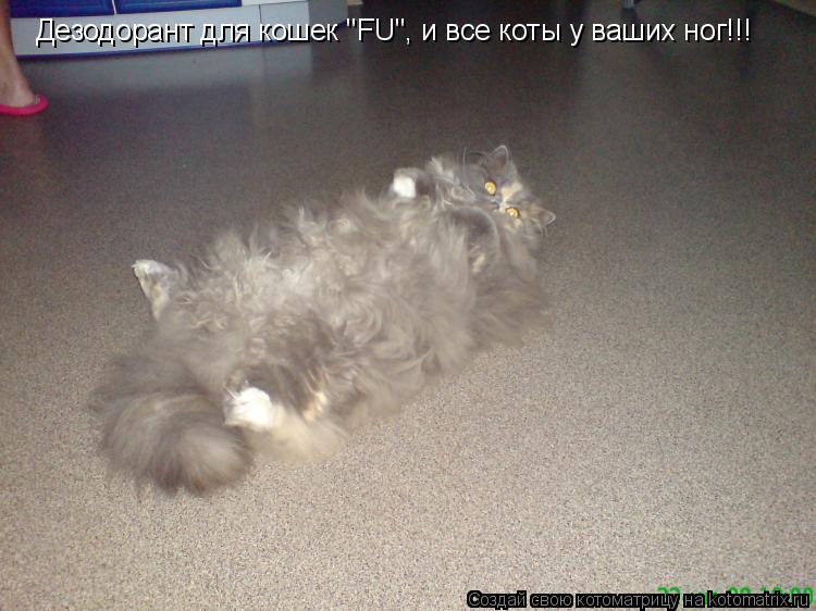 Дезодорант для кошек "FU", и все коты у ваших ног!!!... Котоматрица: Дезодорант для кошек "FU", и все коты у ваших ног!!!