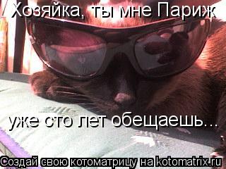 Хозяйка, ты мне Париж уже сто лет обещаешь...... Котоматрица: Хозяйка, ты мне Париж уже сто лет обещаешь...