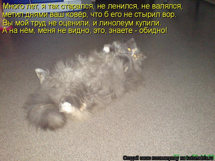 Много лет, я так старался, не ленился, не валялся, метил днями ваш ковёр, что б его не стырил вор. ... Котоматрица: Много лет, я так старался, не ленился, не валялся, метил днями ваш ковёр, что б его не стырил вор. Вы мой труд не оценили, и линолеум купили. А