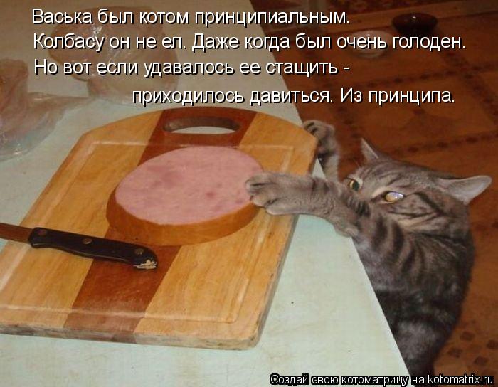 приходилось давиться. Из принципа. Васька был котом принципиальным. Колбасу он не ел. Даже когда был ... Котоматрица: приходилось давиться. Из принципа. Васька был котом принципиальным. Колбасу он не ел. Даже когда был очень голоден. Но вот если удавалось ее