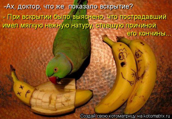 -Ах, доктор, что же показало вскрытие? - При вскрытии было выяснено, что пострадавший имел мягкую н... Котоматрица: -Ах, доктор, что же показало вскрытие? - При вскрытии было выяснено, что пострадавший имел мягкую нежную натуру, ставшую причиной его кончи