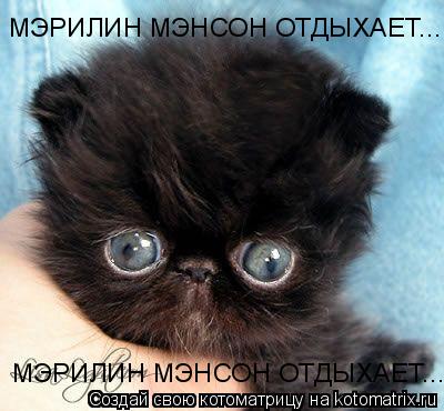 МЭРИЛИН МЭНСОН ОТДЫХАЕТ... МЭРИЛИН МЭНСОН ОТДЫХАЕТ...... Котоматрица: МЭРИЛИН МЭНСОН ОТДЫХАЕТ... МЭРИЛИН МЭНСОН ОТДЫХАЕТ...