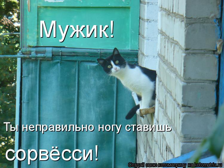 Мужик! Ты неправильно ногу ставишь сорвёсси!... Котоматрица: Мужик! Ты неправильно ногу ставишь сорвёсси!