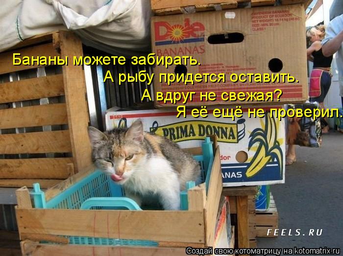 Бананы можете забирать. А рыбу придется оставить. Я её ещё не проверил. А вдруг не свежая?... Котоматрица: Бананы можете забирать. А рыбу придется оставить. Я её ещё не проверил. А вдруг не свежая?