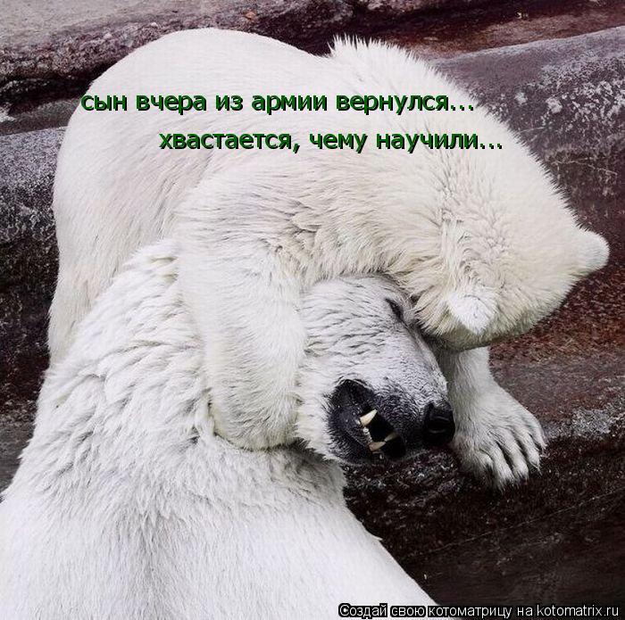 сын вчера из армии вернулся... хвастается, чему научили...... Котоматрица: сын вчера из армии вернулся... хвастается, чему научили...