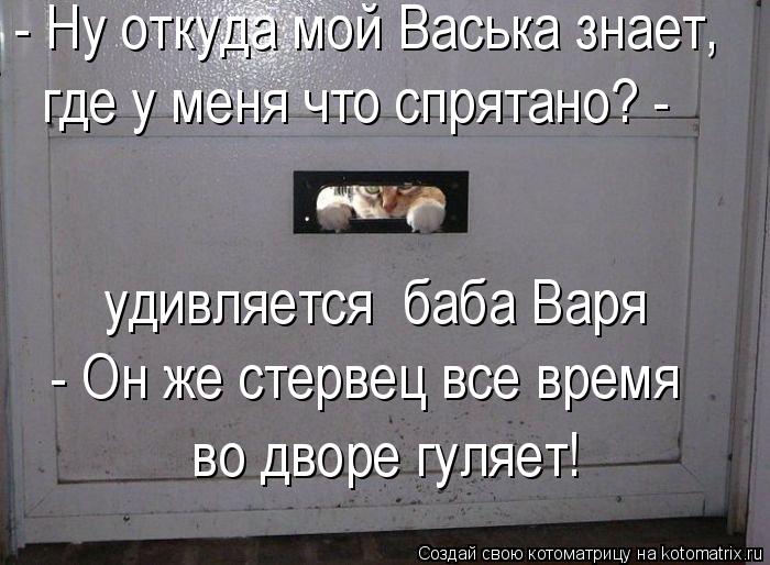 - Ну откуда мой Васька знает, где у меня что спрятано? - удивляется баба Варя - Он же стервец все ... Котоматрица: - Ну откуда мой Васька знает, где у меня что спрятано? - удивляется баба Варя - Он же стервец все время во дворе гуляет!