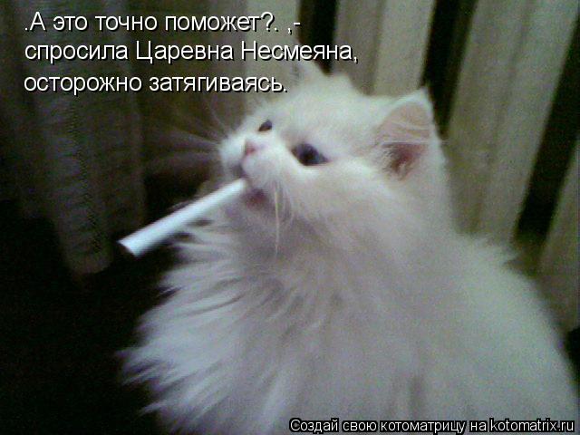 “А это точно поможет?” ,- спросила Царевна Несмеяна, осторожно затягиваясь…... Котоматрица: “А это точно поможет?” ,- спросила Царевна Несмеяна, осторожно затягиваясь…
