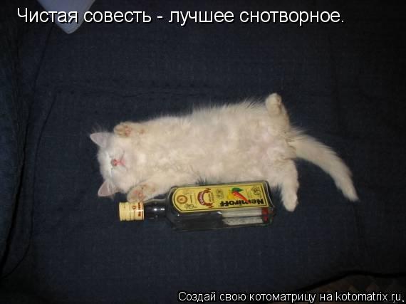 Чистая совесть - лучшее снотворное.... Котоматрица: Чистая совесть - лучшее снотворное.