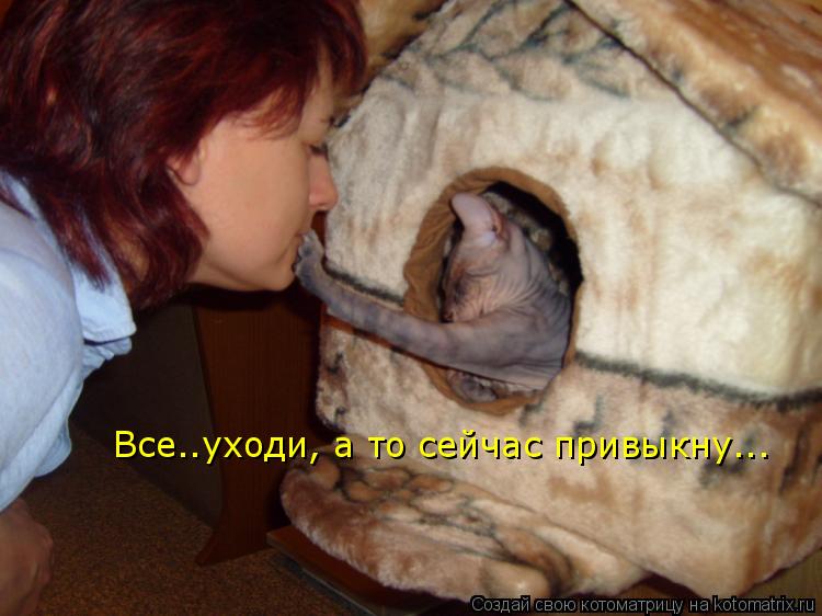 Все..уходи, а то сейчас привыкну...... Котоматрица: Все..уходи, а то сейчас привыкну...