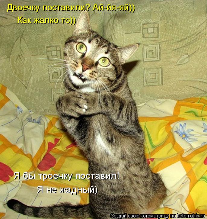 Двоечку поставили? Ай-йя-яй)) Как жалко то)) Я бы троечку поставил! Я не жадный)... Котоматрица: Двоечку поставили? Ай-йя-яй)) Как жалко то)) Я бы троечку поставил! Я не жадный)