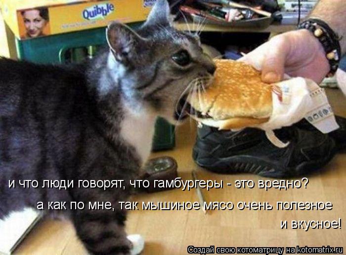 и что люди говорят, что гамбургеры - это вредно? а как по мне, так мышиное мясо очень полезное и вкус... Котоматрица: и что люди говорят, что гамбургеры - это вредно? а как по мне, так мышиное мясо очень полезное и вкусное!