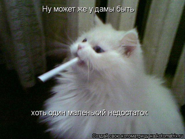 Ну может же у дамы быть хоть один маленький недостаток... Котоматрица: Ну может же у дамы быть хоть один маленький недостаток