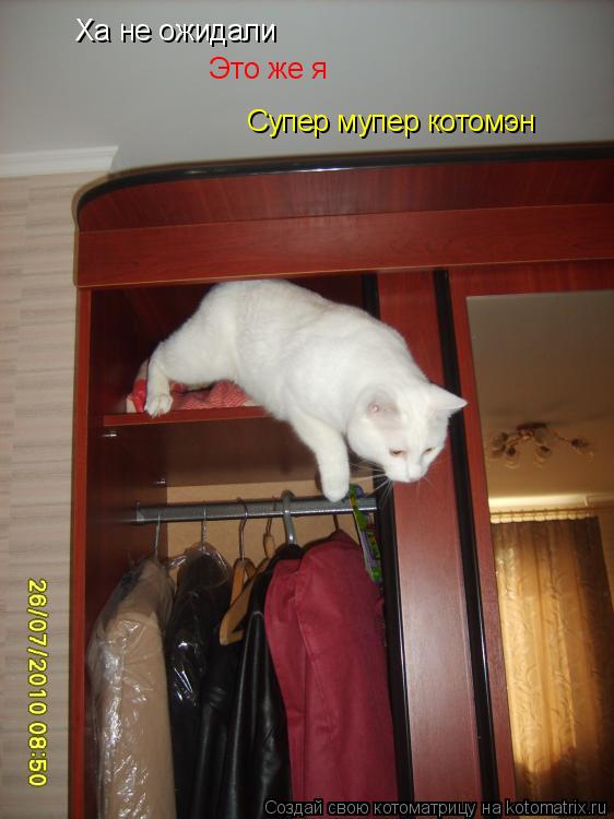 Ха не ожидали Это же я Супер мупер котомэн... Котоматрица: Ха не ожидали Это же я Супер мупер котомэн