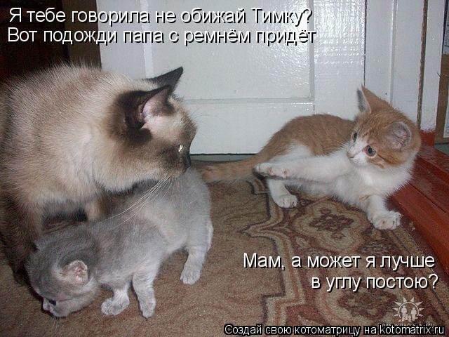 Я тебе говорила не обижай Тимку? Вот подожди папа с ремнём придёт Мам, а может я лучше в углу постою... Котоматрица: Я тебе говорила не обижай Тимку? Вот подожди папа с ремнём придёт Мам, а может я лучше в углу постою?
