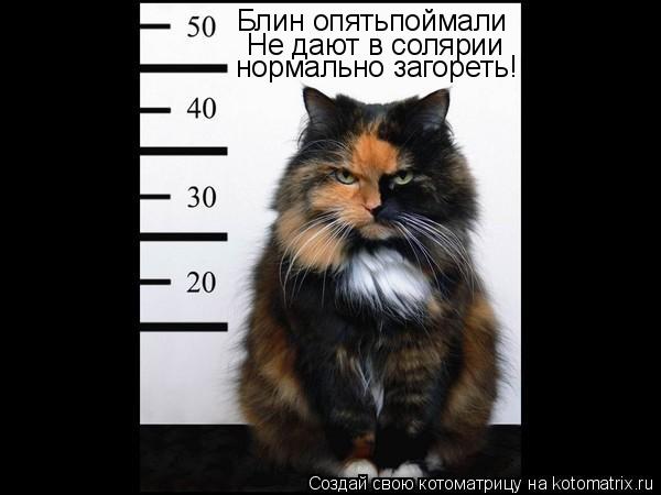 Блин опятьпоймали Не дают в солярии нормально загореть!!!... Котоматрица: Блин опятьпоймали Не дают в солярии нормально загореть!!!